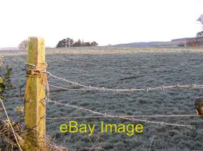 Photo 6x4 Beyond the wire Knockmoyle/H4378 Looking north near Cappagh Ch c2009