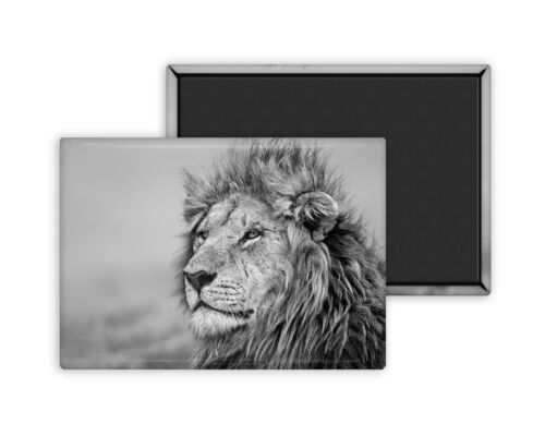 Lion 3-Magnet Personnalisé 54x78mm Photo Frigo - Photo 1/8