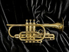 Vintage Olds Ambassador Cornet #731977 1970/71