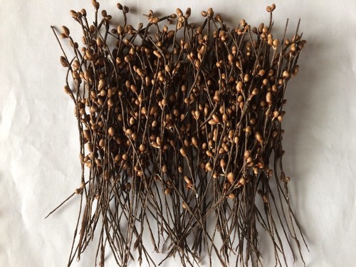 Set/50 Primitive 7" 7in TEA STAIN Pip Berry Garland Picks Craft Supplies Pips - Picture 3 of 12