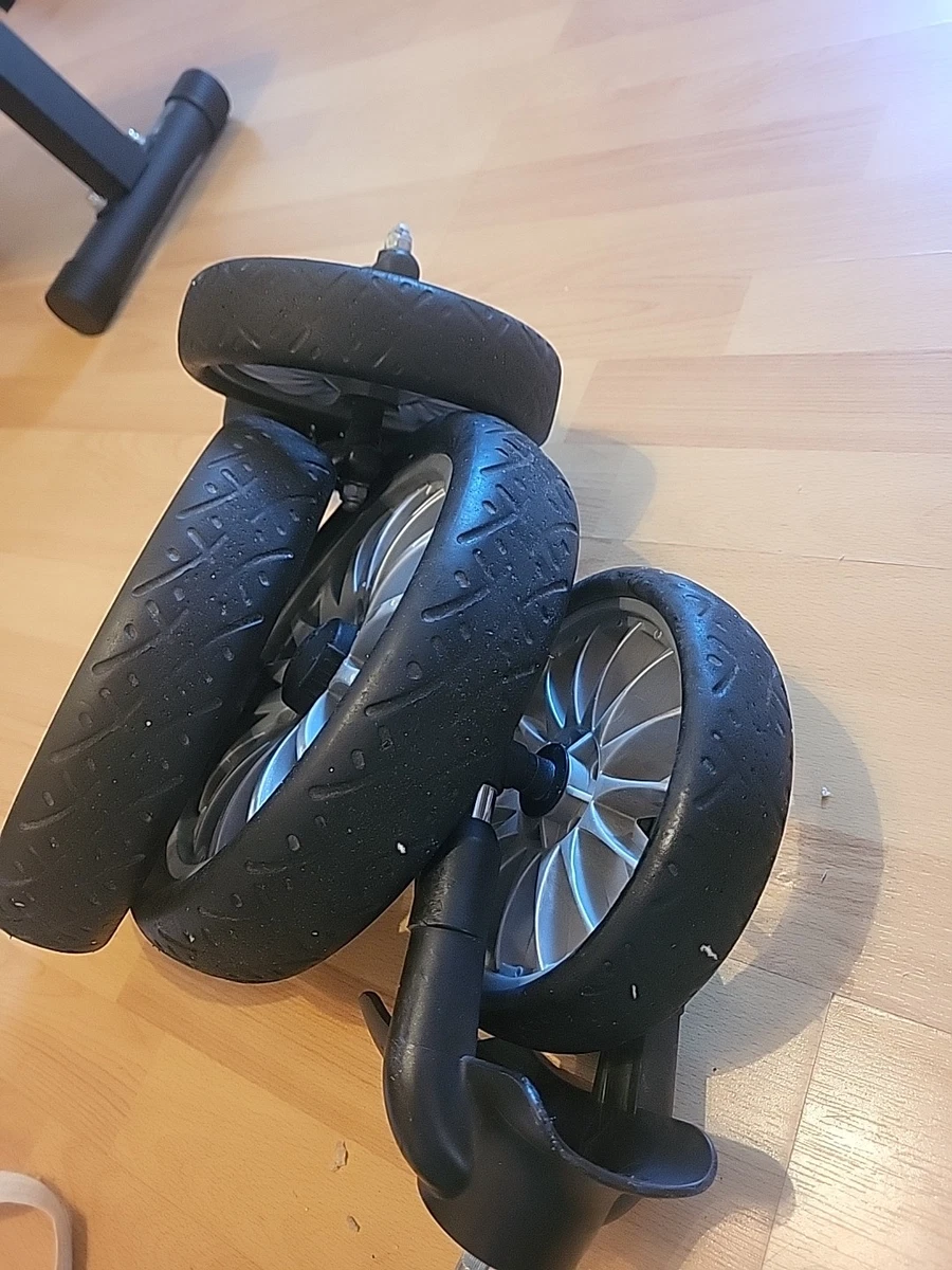 dünger bogenhanf Bogenhanf 'Laurentii' XXL-Größe kaufen main image 0