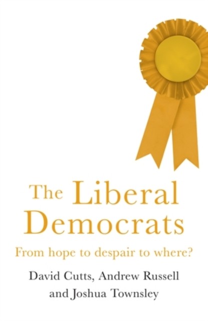 The Liberal Democrats by David Cutts, Andrew Russell, Joshua ... - 9781526127839 - Image 7