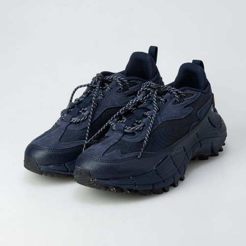 emmi reebok zig kinetica 2.5 edge