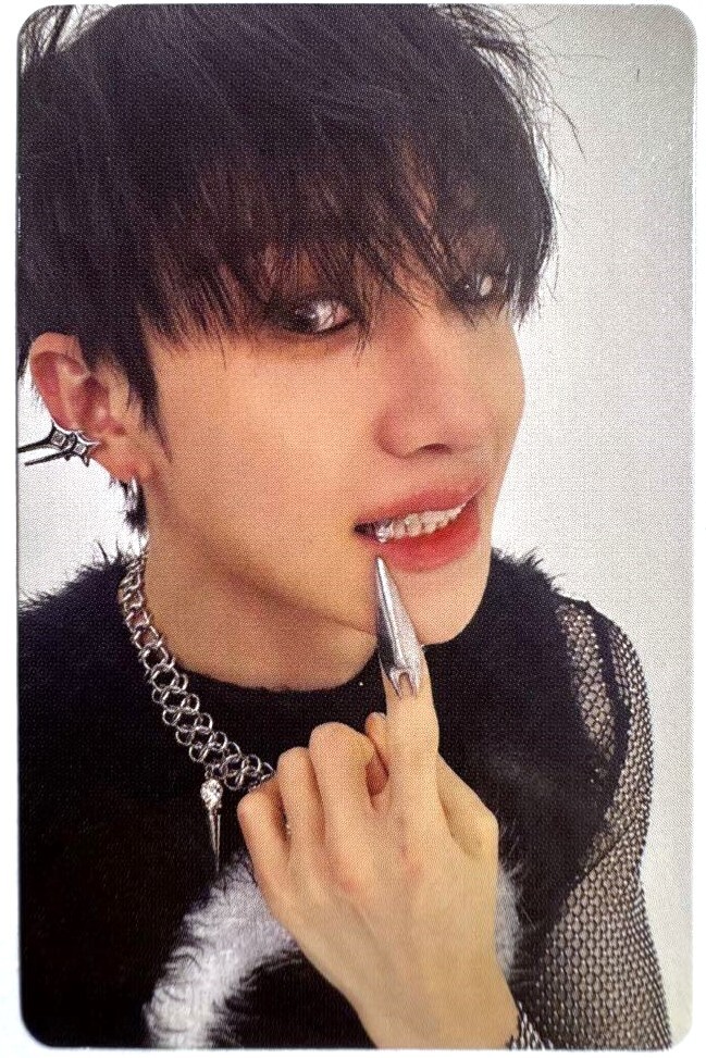 Apple music 公式　スキズ　 ATE トレカ コンプリート コンプ Stray Kids ATE apple music POB Limited Official Photocard