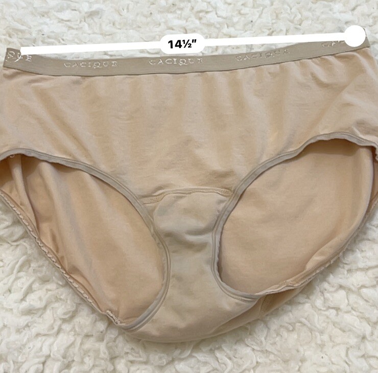 Vintage CACIQUE Panties0903 eBay