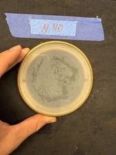 (N40) Antique French Mantle Clock Back Bezel Door Part Brass & Beveled Glass