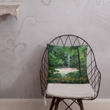 Saratoga Springs NY, throw pillow Geyser Park SPAC State Park sulfur fountain of