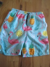 Flamingo Men's Swim Trunks Size Medium EUC