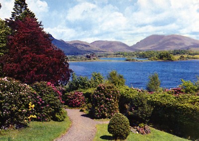 Loch Awe - vom Hotelgarten (Blick auf Ben Lui & Kilchurn Castle): (4925 - Karte Ref)