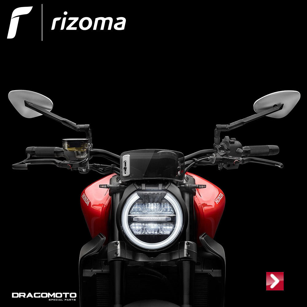 KTM 890 Duke R 2021 Rückspiegel Genesi RIZOMA BS173A BS713B KTM 890 Duke R 2021 Rückspiegel Genesi RIZOMA BS173A BS713B