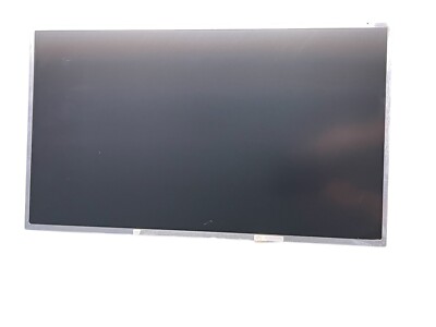 17 inch  LG Display Matte LCD Screen LP173WF1 (TL) (B3) - small imperfection
