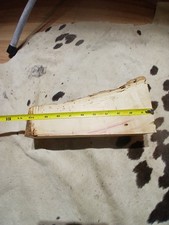 Live Edge Box Elder Maple