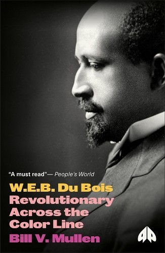 W.E.B. Du Bois: Revolutionary Across the Color Line (Revolutionary Lives) - Image 3