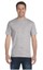 Hanes Mens 100% Cotton Authentic-T T-Shirt S-3XL 5250T | eBay