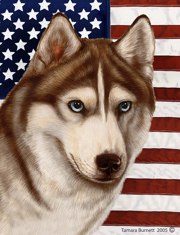 Red and white husky blue cheap eyes