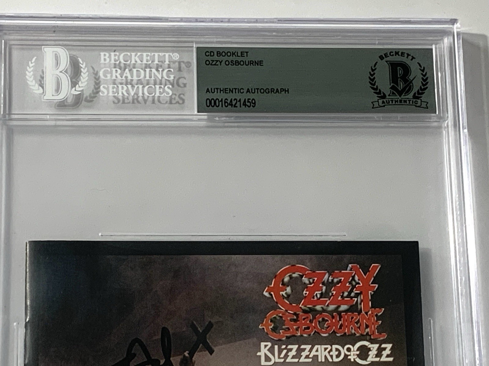 Picture 7 of 12