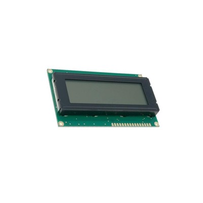RC2004A-FHW-ESV Display: LCD alphanumerisch FSTN Positive 20x4 grau LED 1x16 RAY