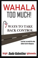 Wahala Too Much - 7 ways to take back control by Bright Dudu Valentino Igbinewek