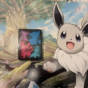 Pokemon SWSH: Evolving Skies ETB 65 ct. Card Sleeves *BRAND NEW*