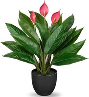 KüNstliche Calathea Kunstpflanze 43Cm GrüN Mit 22 BläTtern Im Kunststofftopf