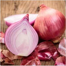 Ruby Red Onion Seeds | Heirloom / Non-GMO | Free Shipping | Seed Store | 1072