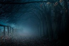 Landscape path mist trees fall fence blue nature leaves Custom Gaming Mat Desk