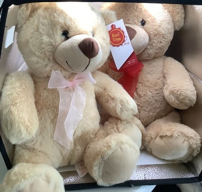 2 zwei Zwillinge Love to Hug Plüsch weich creme Teddybär Kiel 14 Zoll Etikett x 1 + sehr guter Zustand 1 
