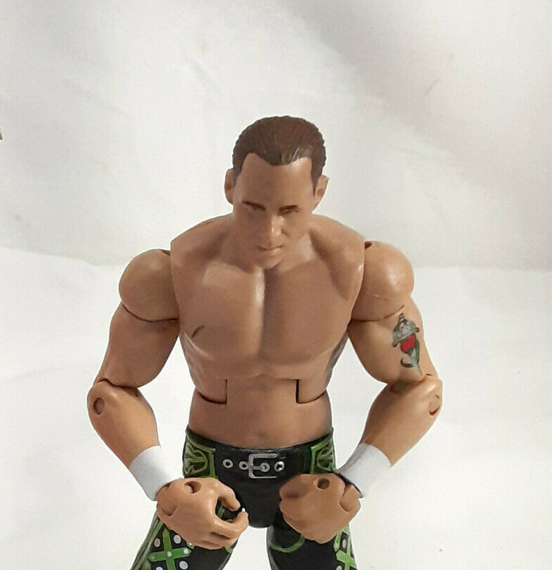 WWE マテル　エリート　レジェンドシリーズ　ビッグバン・ベイダー 新品未開封 テリー・ファンク WWE フィギュア エリート レジェンド 27 Chase
