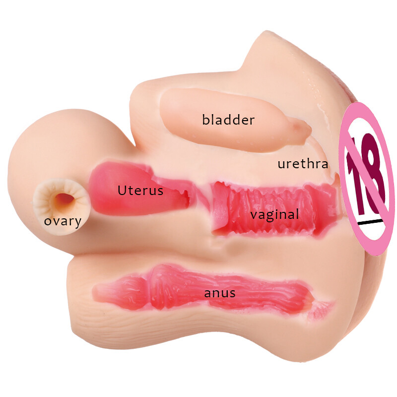 sex doll uterus Who is Perona in One Piece? main image 0