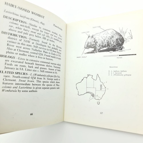 Marsupials of Australia by Basil Marlow 1968, Small Jacaranda Pocket Guide Book - Picture 10 of 12
