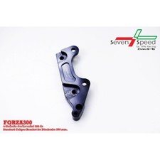 Brake Caliper Bracket Disc 300 mm 300 Dish, Original Pump, Silver Color,ADV350