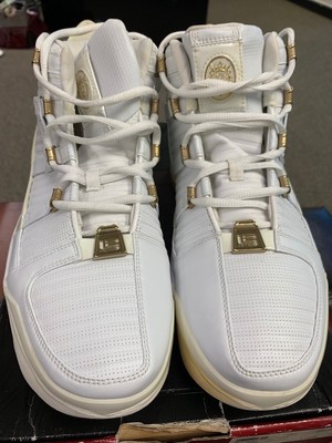 lebron shoe brand