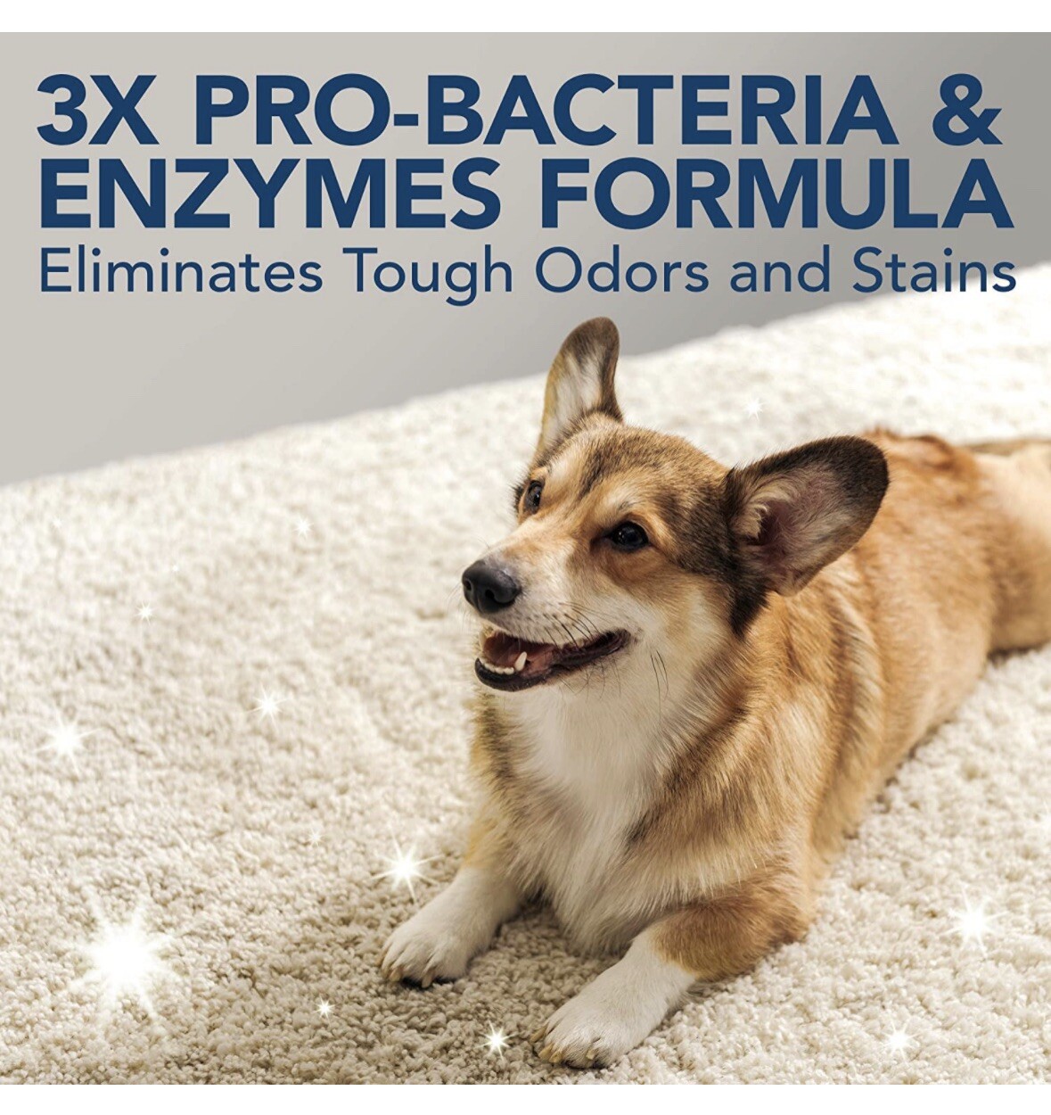 Extreme Pet Stain And Odour Remover Dog Cat Urine Smell Eliminator