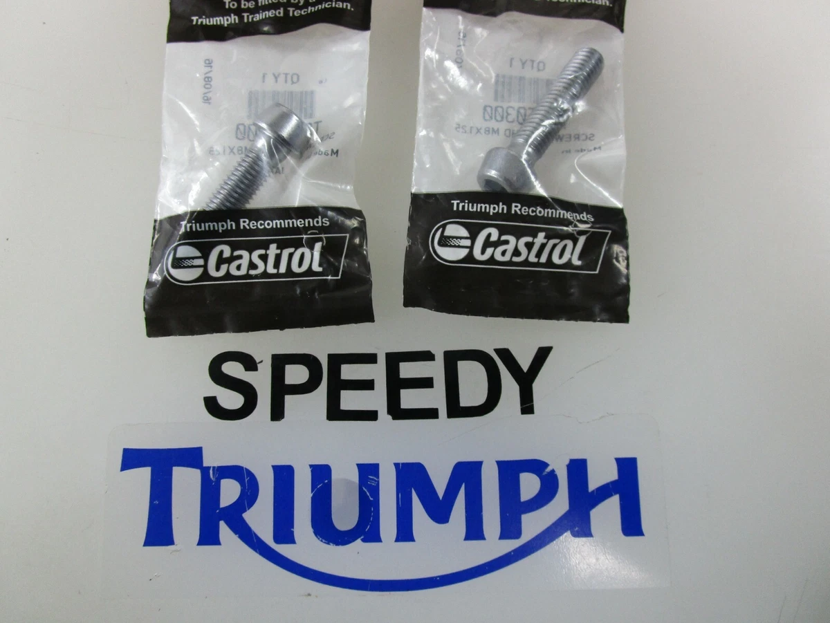 TRIUMPH DAYTONA STREET TRIPLE TIGER 800 EXPLORER FRONT FORK SCREWS