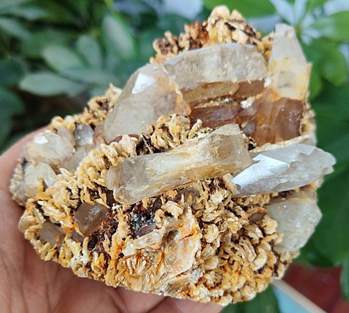 Muestra mineral de racimo de cristal de aguamarina natural y mica y esqueelita 455 g 1 - Imagen 6 de 20