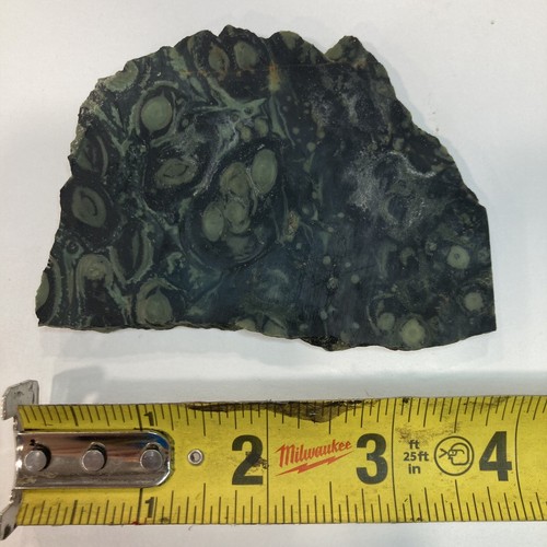 Kambaba Jasper Stromatolite 4” X 2 3/4” Rough Slab Lapidary Cabbing - Picture 2 of 3