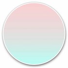 2 x Vinyl Stickers 25cm - Pastel Pink Green Ombre Fun Cool Gift #2675