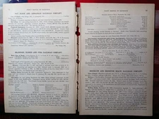 1890 Train Report BRADFORD ELDRED & CUBA RAILROAD Ceres Little Genesee New York 