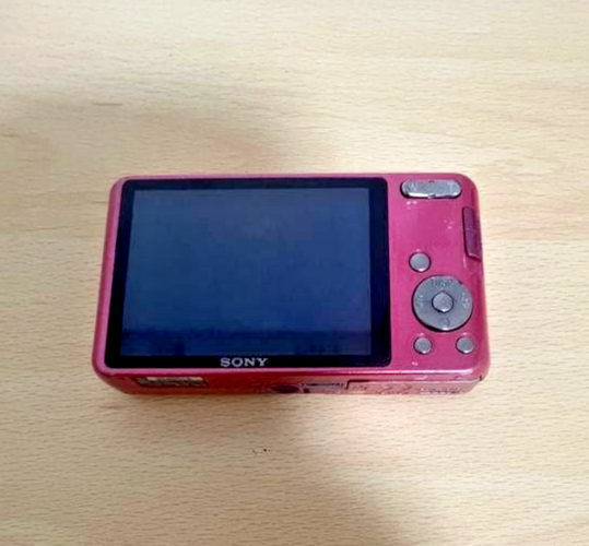 SONY Cyber-shot DSC-W570 Pink 5x Zoom 16.1 MP Digital Camera
