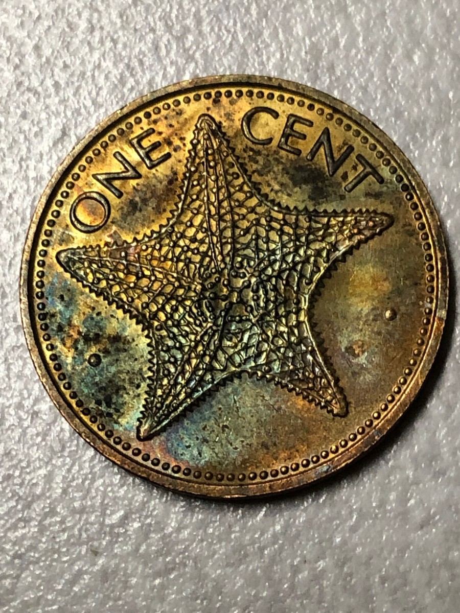 初期のパラゴン 星マーク レア 希少なスターチャイナ時代 黄色と金彩の