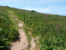 Photo 6x4 Path to Burgh Island summit Bigbury-on-Sea The many walkers are c2010