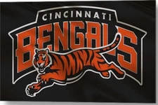 Cincinnati Bengals 3x5 ft Flag Banner NFL Football Free Shipping