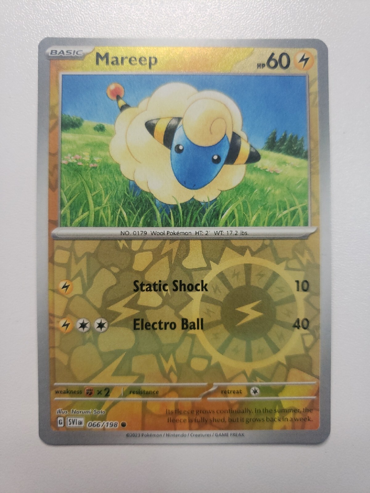 Mareep Reverse Holo Scarlet and Violet Pokemon TCG 066/198
