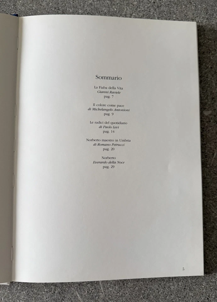 LUIGI PROIETTI PRESENTA NORBERTO DIMENSIONE GRAFICA SPELLO 1992 LIBRO ILLUSTRATO - Immagine 4 di 4