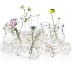 Set of 12 Glass Bud Vases for Centerpieces, Small Clear Vase for Flower, Glas...
