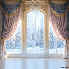 10'x10'CP Window Curtain Scenic Microfiber Fabric background backdrop BHF1949