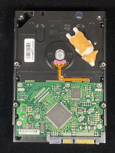 ST3750640NS SEAGATE BARRACUDA 750GB 7.2K 6G SATA 3.5" LFF HDD - Picture 3 of 3