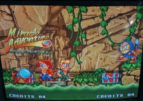 Miracle Adventure / Spin Master (Neo Geo AES) Complete in Box, Authentic 