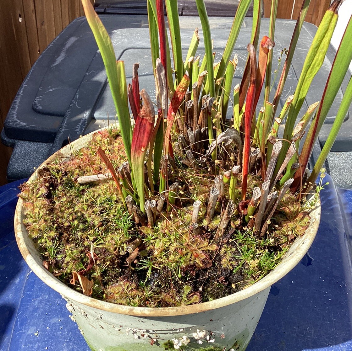 Picture 20 of 22