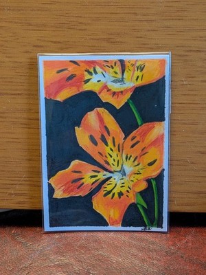 ACEOS - ''Feuerlilie'' - Miniatur Farbstiftzeichnung - von Lizzobeth_draws
